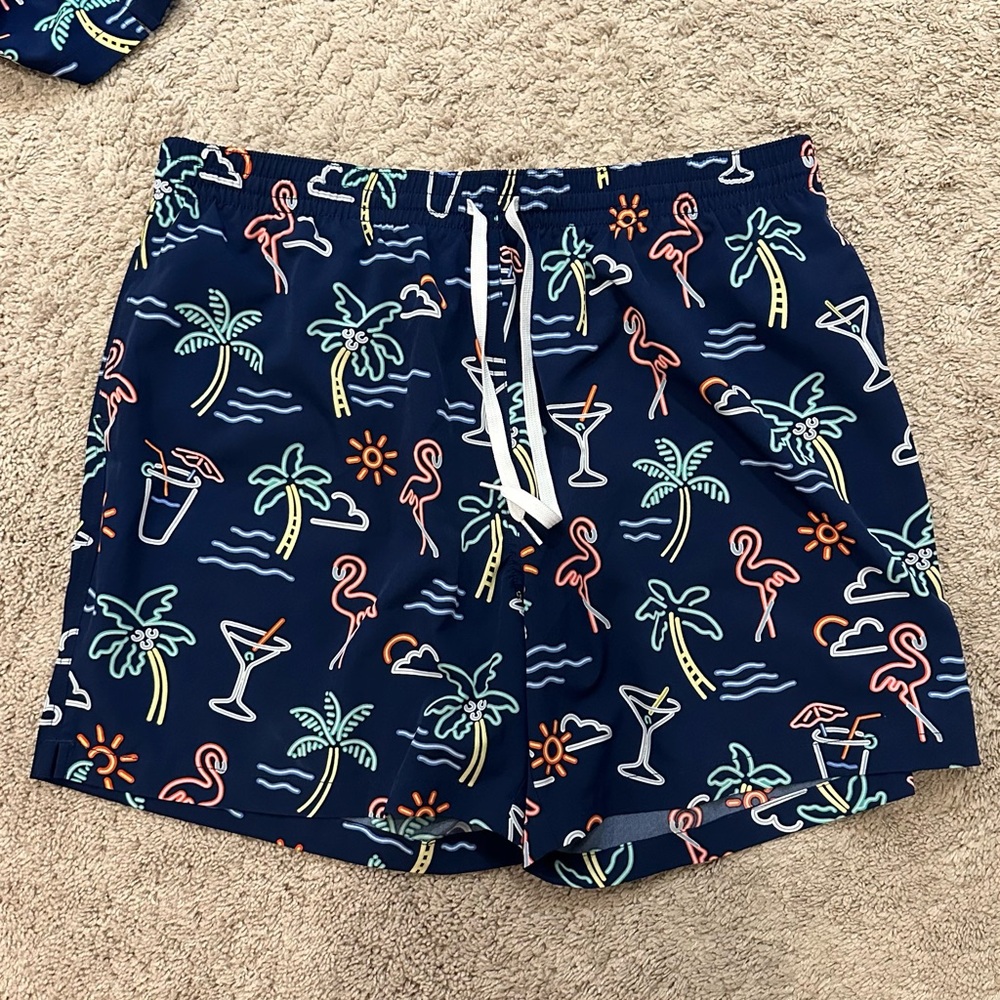 Men’s Chubbies Swim Shorts